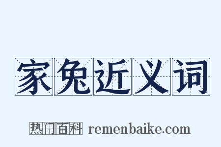 家兔近义词是什么意思的图片